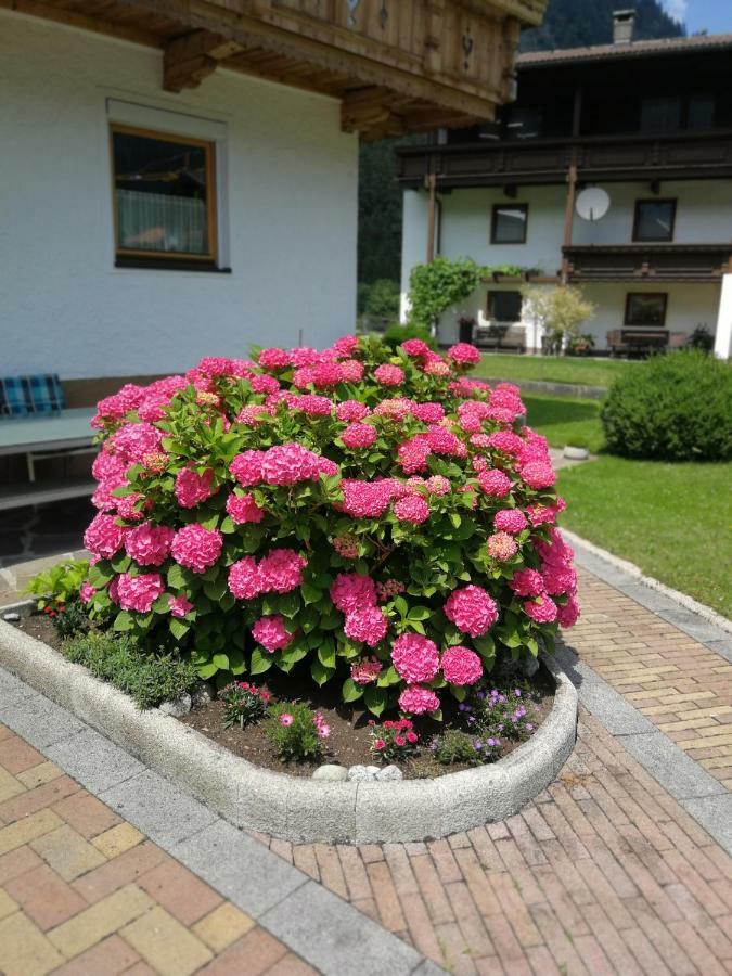 Hotel Haus Wildauer Mayrhofen Esterno foto
